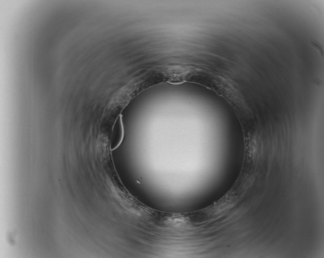 X0000102310283200808011610