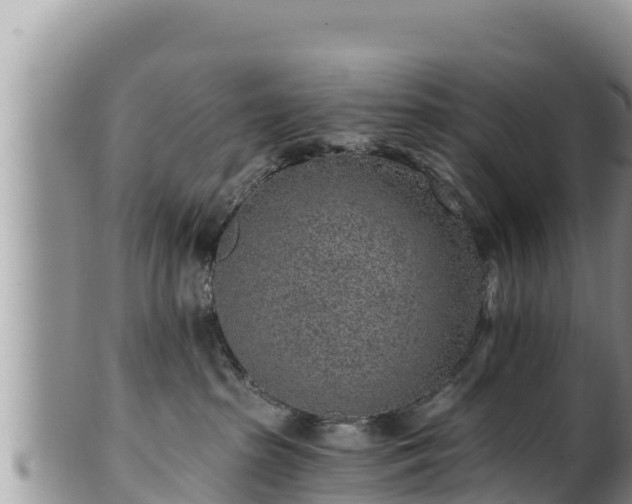 X0000102310285200808011610