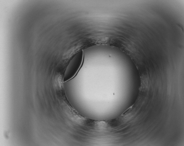 X0000102310287200808011610