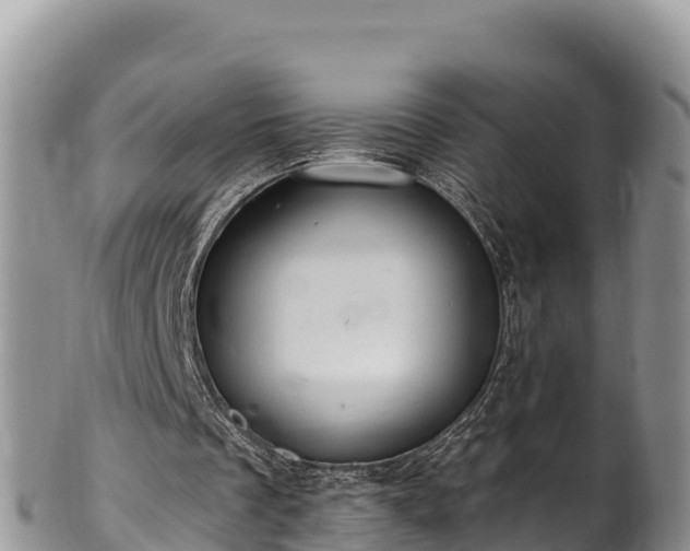 X0000102310289200808011609