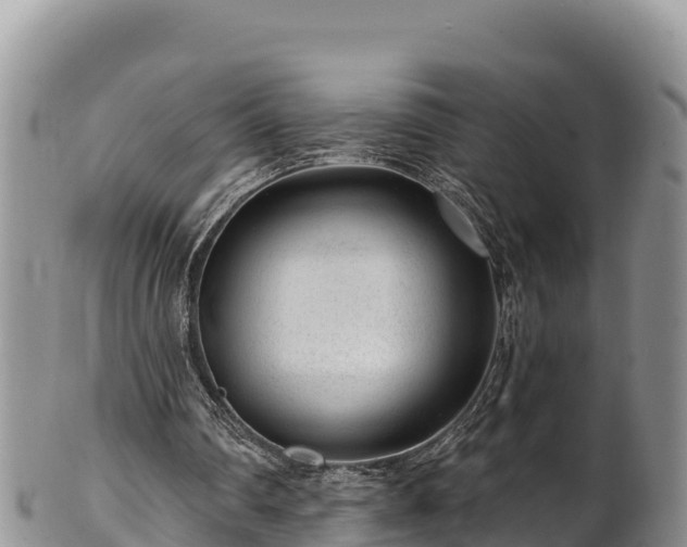 X0000102310290200808011609