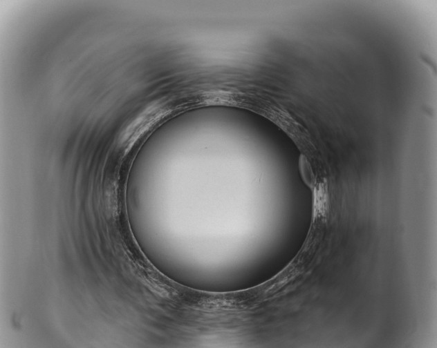 X0000102310291200808011609