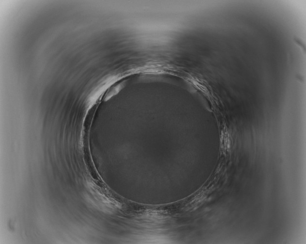 X0000102310292200808011609