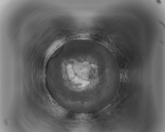 X0000102310293200808011609