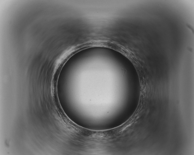 X0000102310294200808011609