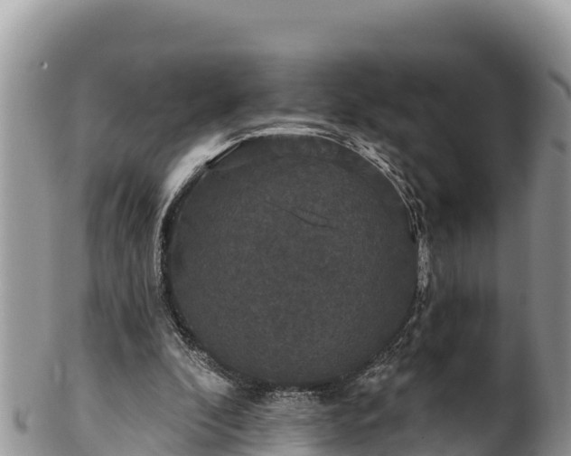 X0000102310296200808011609