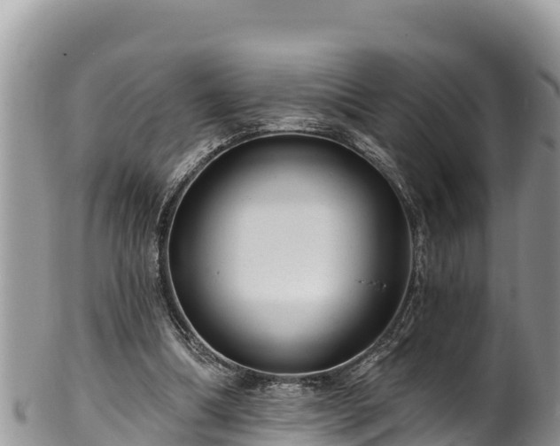 X0000102310298200808011609