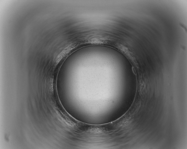 X0000102310299200808011609