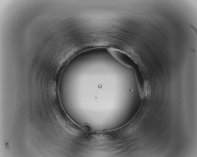 X0000102310300200808011609