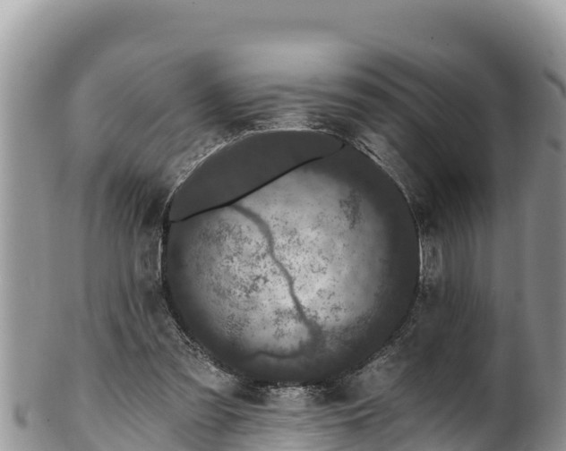 X0000102310301200808011609