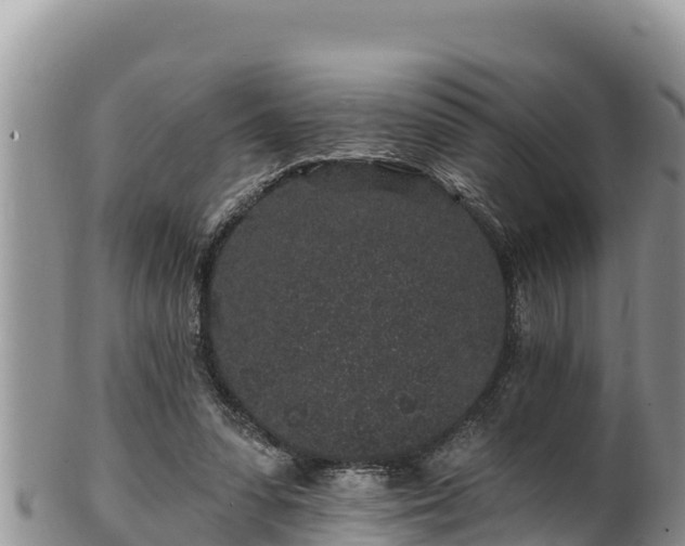 X0000102310303200808011609