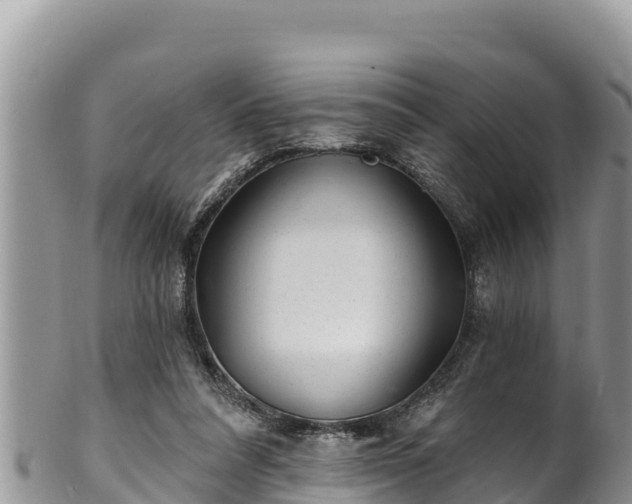 X0000102310304200808011609