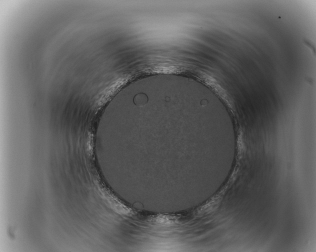 X0000102310305200808011609