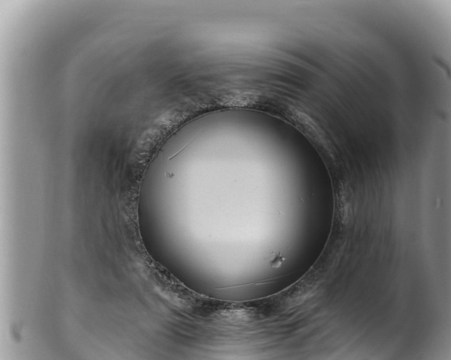 X0000102310307200808011609