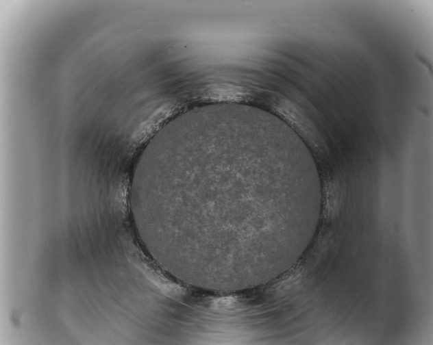 X0000102310309200808011609