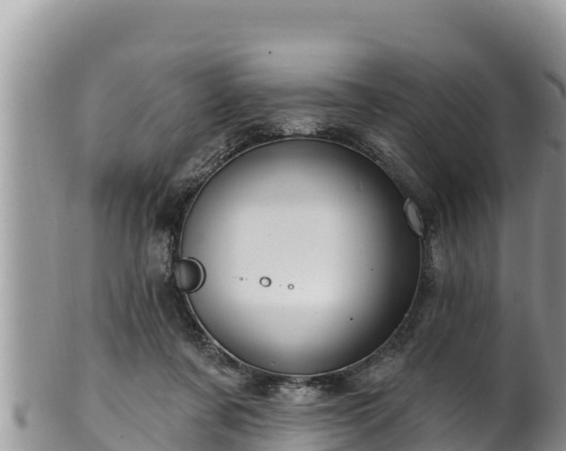 X0000102310311200808011609