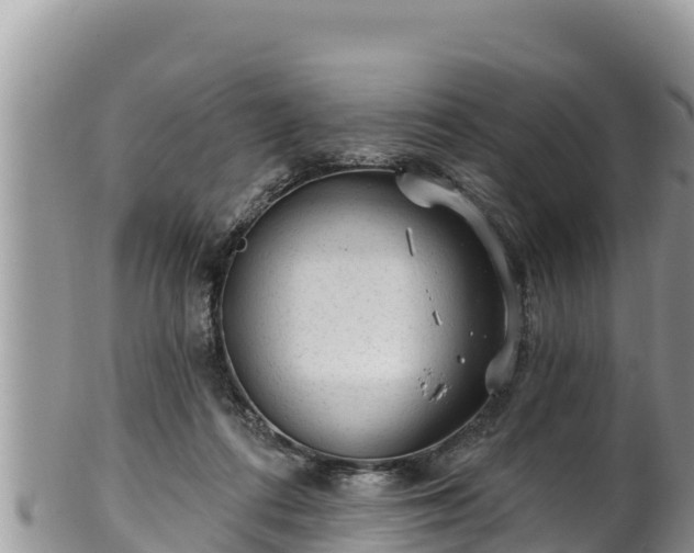 X0000102310312200808011609