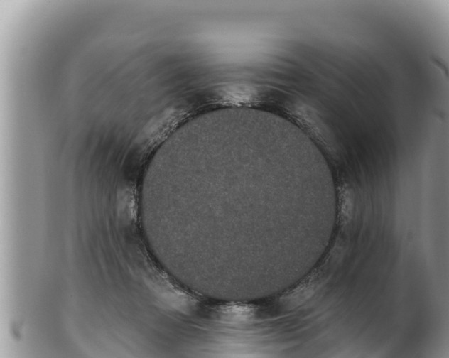 X0000102310313200808011609