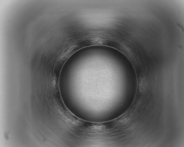 X0000102310314200808011609