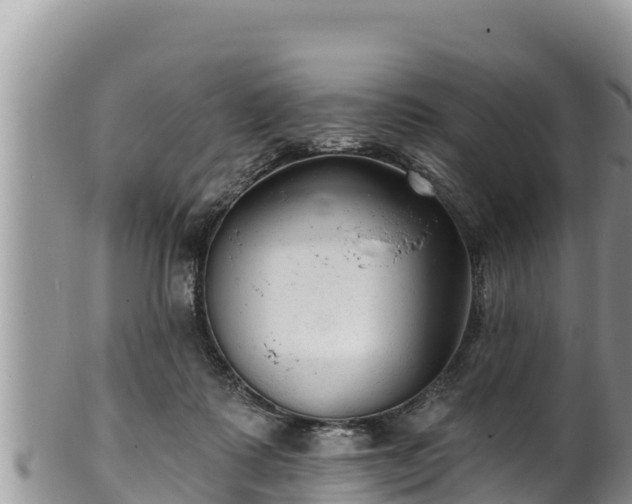 X0000102310315200808011609