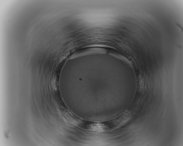 X0000102310316200808011609