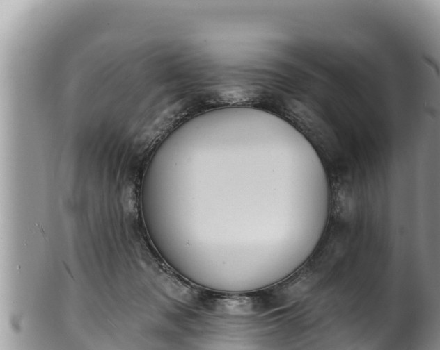 X0000102310317200808011609