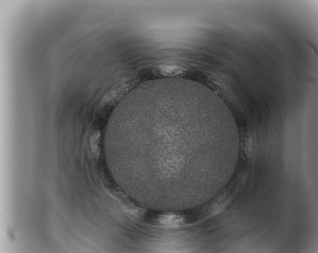 X0000102310319200808011609