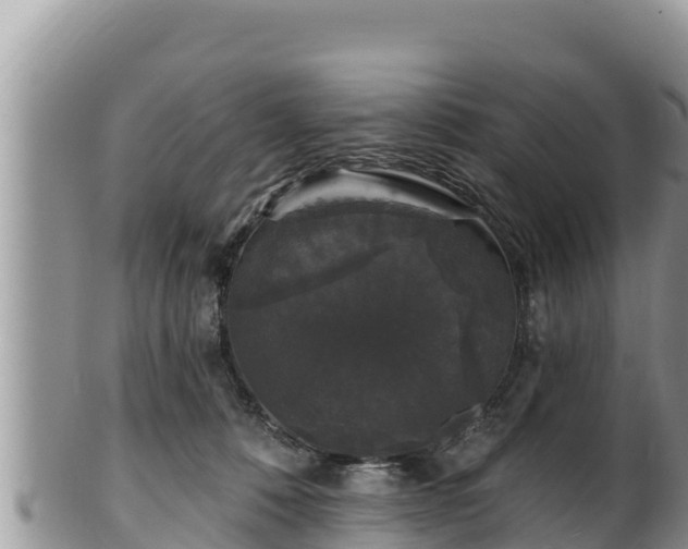 X0000102310320200808011609