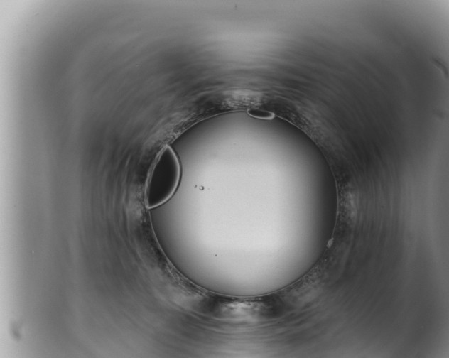 X0000102310323200808011609