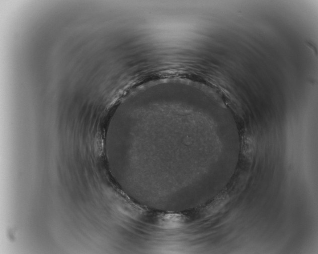 X0000102310324200808011609