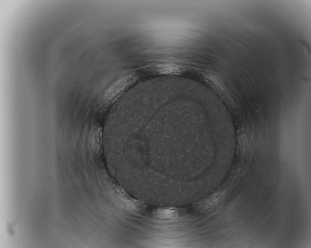 X0000102310325200808011609