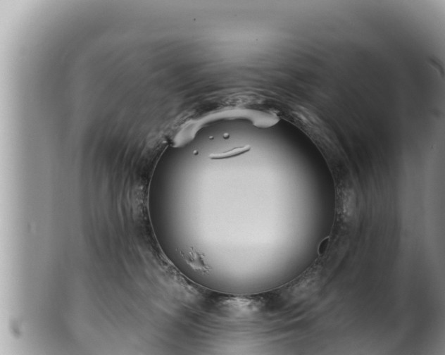 X0000102310326200808011609