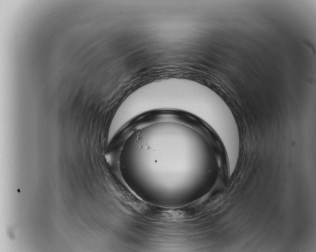 X0000102310328200808011609