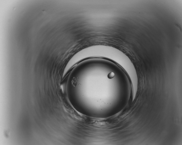 X0000102310332200808011609