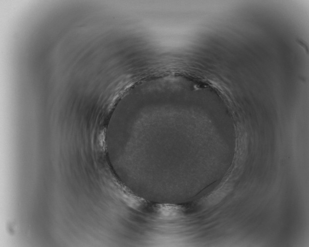 X0000102310336200808011609