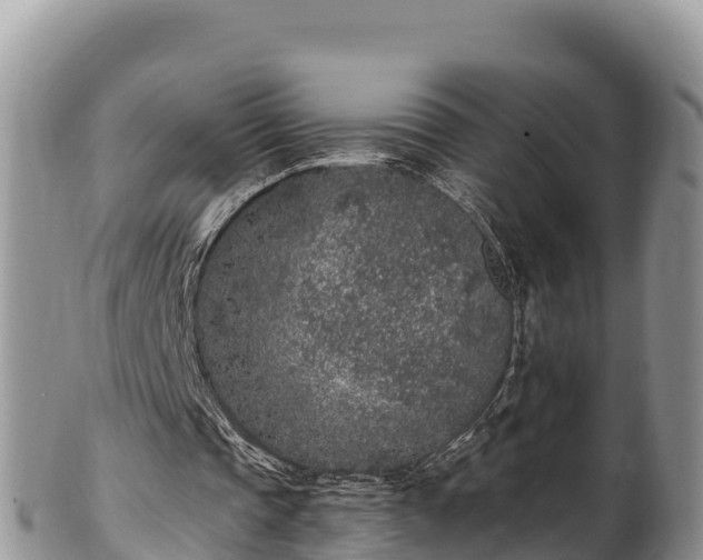 X0000102310337200808011608