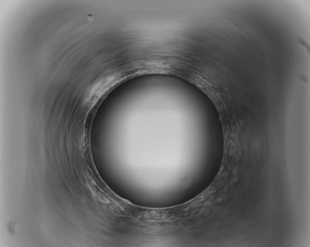 X0000102310338200808011608