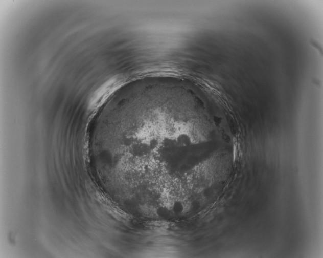 X0000102310339200808011608