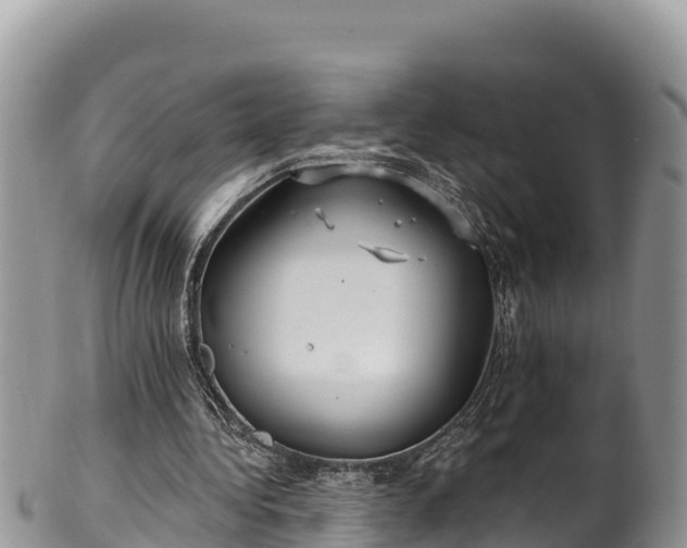 X0000102310340200808011608