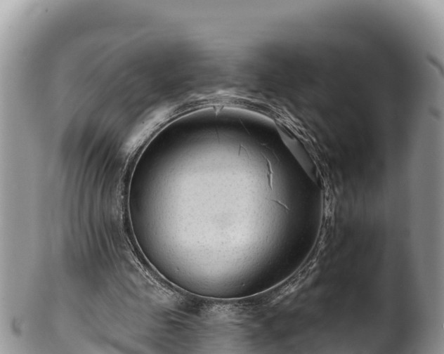 X0000102310341200808011608