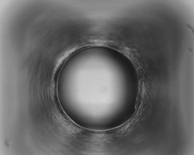 X0000102310342200808011608