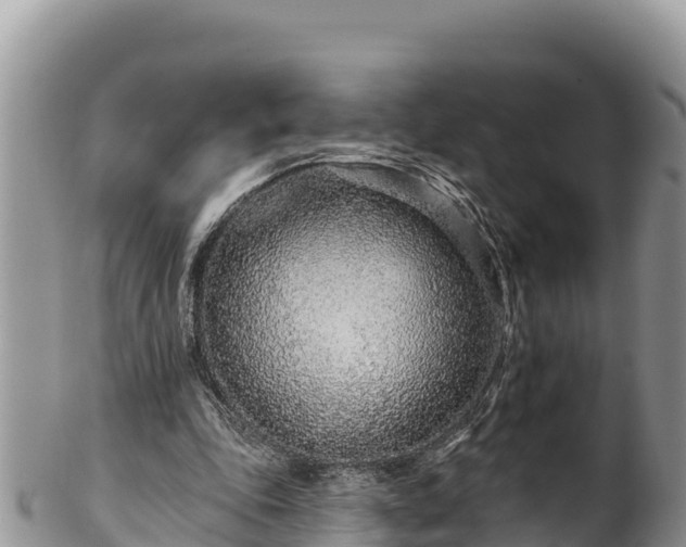 X0000102310343200808011608