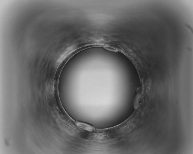 X0000102310344200808011608