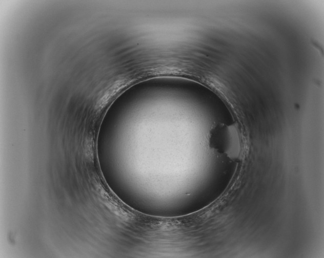 X0000102310345200808011608