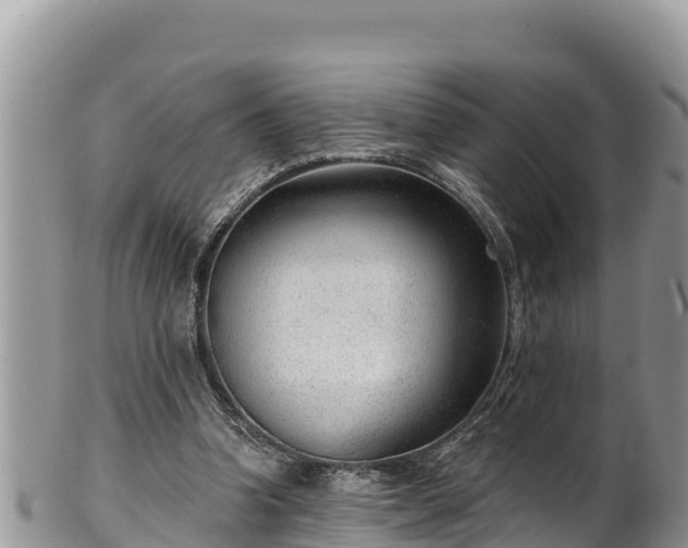 X0000102310346200808011608