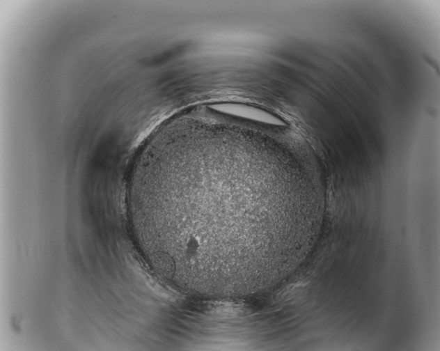 X0000102310347200808011608