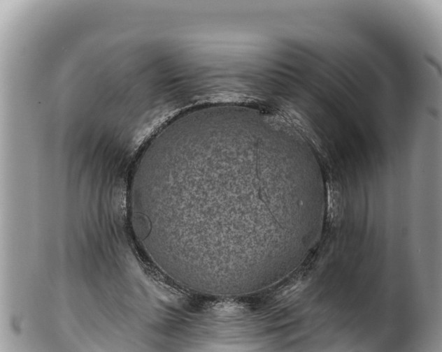 X0000102310348200808011608