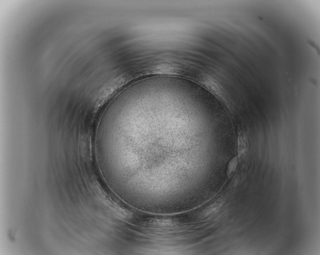 X0000102310349200808011608