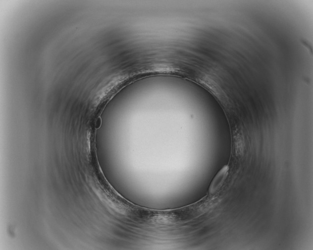 X0000102310350200808011608