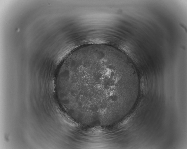 X0000102310351200808011608